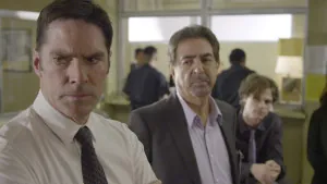 10 x 22 – Protection