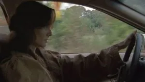 lori espeta-se com o carro