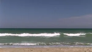 praia_one_tree_hill