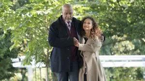 richard catherine grey's anatomy