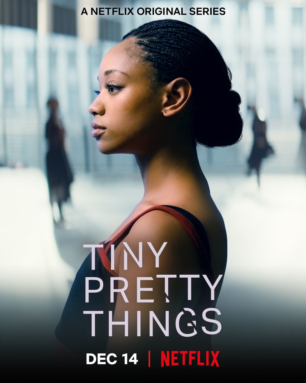 tiny pretty things posters
