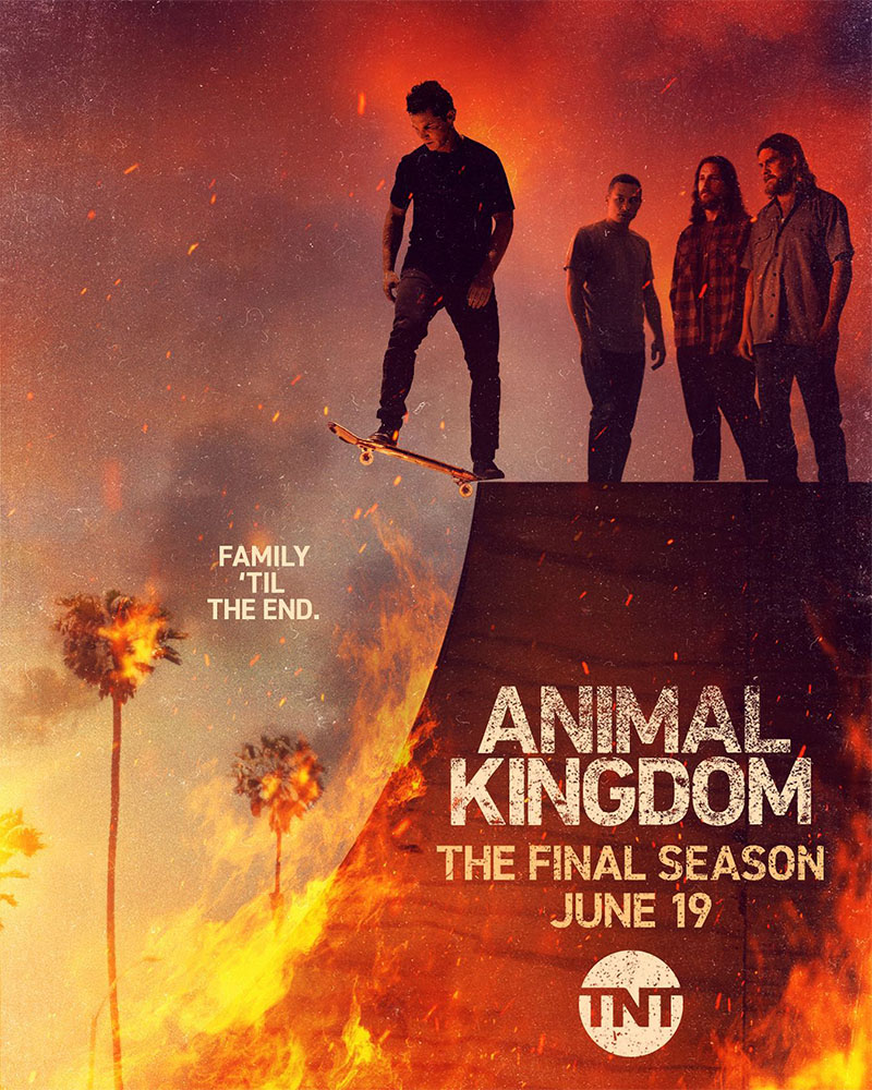 animal kingdom poster