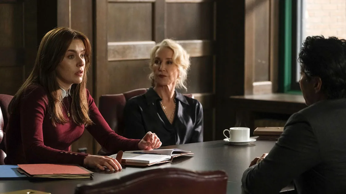 the good lawyer