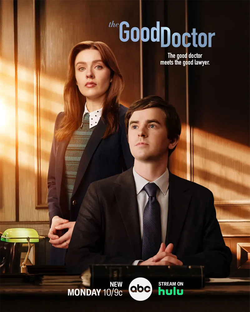the good lawyer